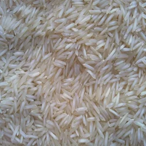 1121 Basmati Rice