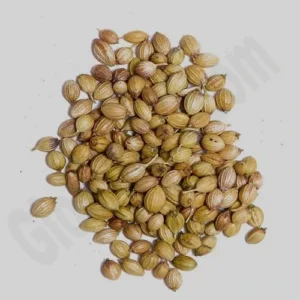 Coriander seeds