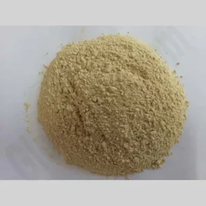 Garlic powder