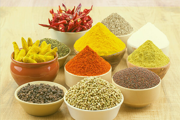 Spices export service in gujarat