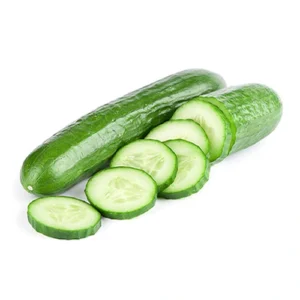 Cucumber exporter in gujarat